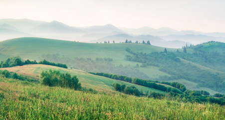 Misty summer panorana of Carpathian mountains. Splendid morning view of mountain valley in the first sunlight glowing fresh grass, Ukrane, Europe. Instagram filter toned.