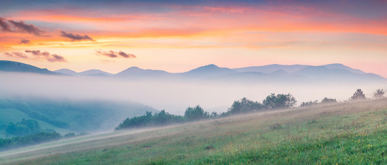 Fantastic summer sunrise in Carpathian mountains. Misty morning panorama of green mountain valley, Transcarpathian, Rika village location, Ukraine, Europe. Beauty of nature concept background.