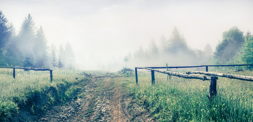 Fototapeta premium Misty morning scene of Carpathian mountains. Stunning summer countryside view with old road in mountain valley, Ukraine, Europe. Beauty of nature concept background. Instagram filter toned.