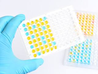 Enzyme-linked immunosorbent assay or ELISA plate