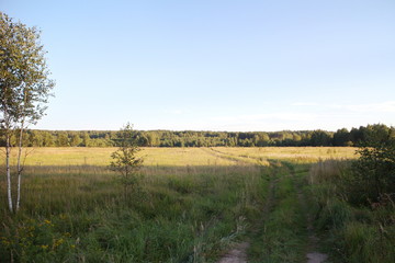 Dirt road through the field on a summer evening