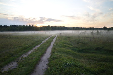 dirt road in a field with fog