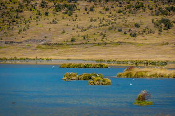 Shore of the lake Limpiopungo located in Cotopaxi national park, Ecuador in a sunny and windy day