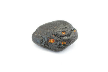 Petrified pieces of wood with inclusions of amber on a white background. Archeology. Fossil pieces...