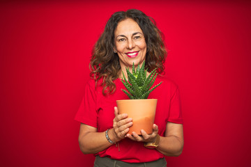 Middle age senior woman holding green cactus over red isolated background with a happy face standing and smiling with a confident smile showing teeth © Krakenimages.com