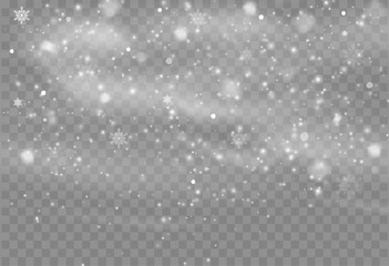 Falling Snow Overlay Background. Snowfall Winter Christmas Background. Vector Illustration.