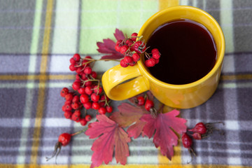 A yellow cup of tea stands on a plaid. Near a mug are clusters of mountain ash, rosehip berries and red autumn leaves.