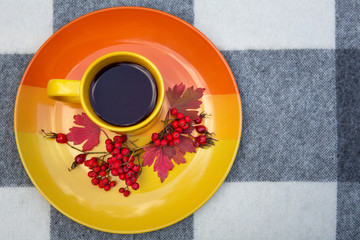 A yellow cup of tea stands on a plate. On a plate are clusters of mountain ash, rosehip berries and red autumn leaves. View from above.