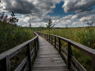 wooden footbridge through the forest. Dark storm clouds herald the coming storm