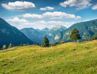 Sunny summer scene of in Triglav national park. Amazing morning view of Julian Alps, Bohinj lake...