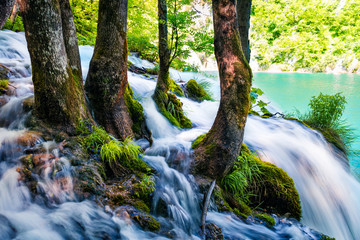Nice morning view of Plitvice National Park. Bright spring scene of green forest with pure water...