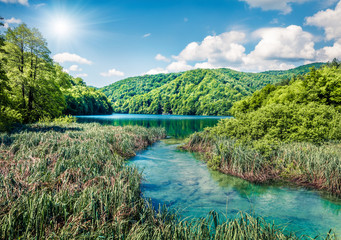 Wonderful morning view of Plitvice National Park. Colorful spring scene of green forest. Great...