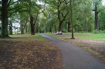 Fototapeta na wymiar Der Radweg im Sieglitzer Park Dessau