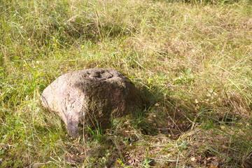 big stone on the grass near the forest