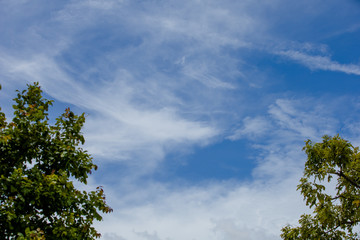 Obraz premium blue sky use for texture