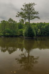 Fototapeta na wymiar Dirty small pond near Jindrichovice village in summer cloudy day