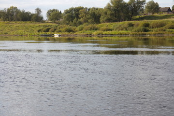 riverbank in the countryside on a summer day
