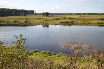 riverbank in the countryside on a summer day