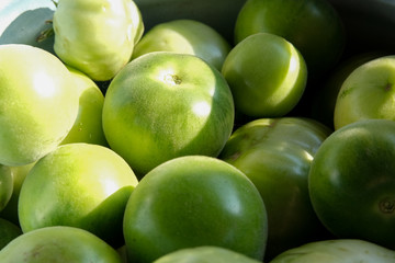 lots of green tomatoes