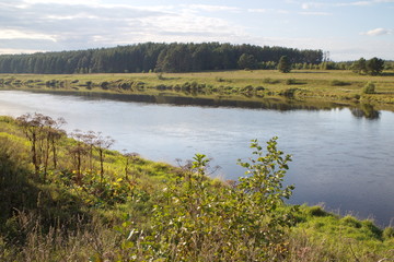 riverbank in the countryside on a summer day