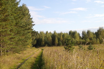 village road along the river bank on a summer day