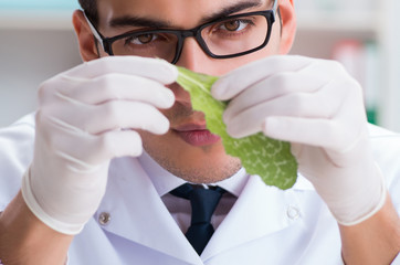 Biotechnology scientist chemist working in lab