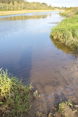 Fishing spot by the river on a summer day