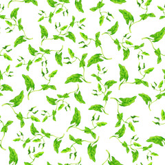 Seamless pattern with wild summer green leaves on white background. Hand drawn watercolor illustration.