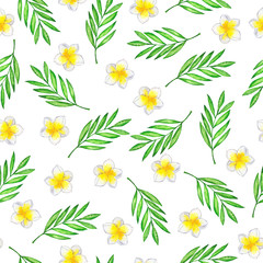Seamless pattern with white plumeria flowers and green palm leaves on white background. hand drawn watercolor illustration.