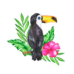 Toucan bird with green palm leaves and pink flower isolated on white background. Hand drawn watercolor illustration.