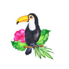 Toucan bird with green palm leaf bouquet and pink flower isolated on white background. Hand drawn watercolor illustration.