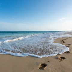 Waves on a beach