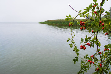 Mglisty poranek nad jeziorem © VinyLove Foto