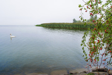 Mglisty poranek nad jeziorem © VinyLove Foto