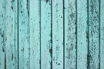 mint wood background. Scratched turquoise paint on a wooden plank wall. Background, texture