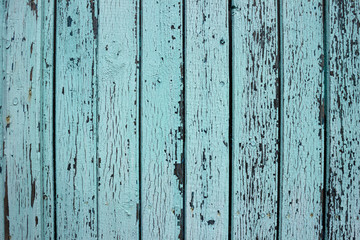 mint wood background. Scratched turquoise paint on a wooden plank wall. Background, texture