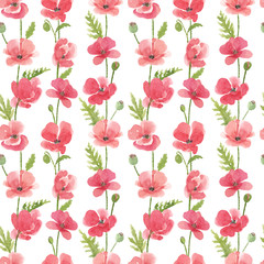 Watercolor hand drawn seamless pattern with wild red poppies flowers isolated on white background