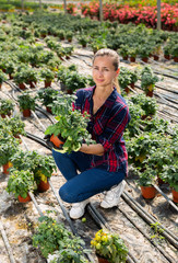 Woman farmer examining tomato seedlings
