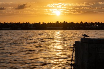 Key West Sunset