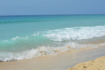 Capo Verde - Isola di Sal (2015)