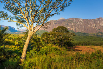 Obraz premium Mulanje Massif in Malawi