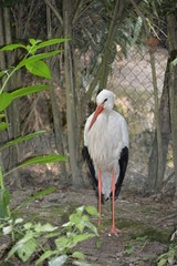 Oasi di Sant'Alessio (PV)