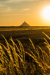 Mont Saint-Michel Bay and Golden Fields in Normandy France at Sunset - Portrait version