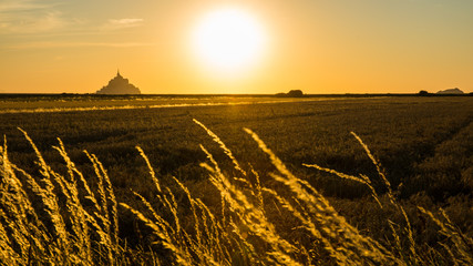 Mont Saint-Michel Bay and Golden Fields in Normandy France at Sunset - 16/9