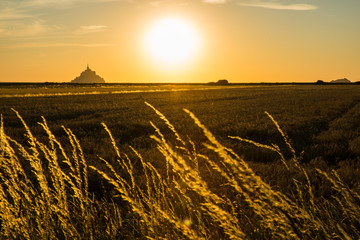 Mont Saint-Michel Bay and Golden Fields in Normandy France at Sunset