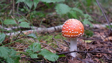 Nature of the Urals in Russia in early Autumn