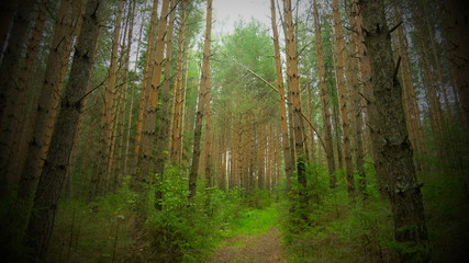 Nature of the Urals in Russia in early Autumn