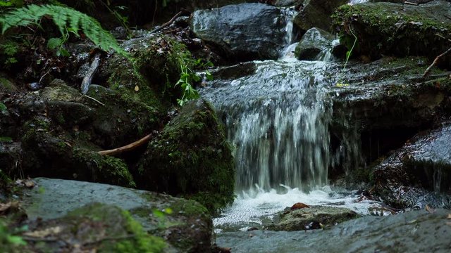 Wasserfall im Wald - Nahaufnahme