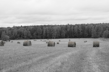 Nature of the Urals in Russia in early Autumn