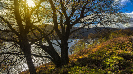 Fototapeta na wymiar Autumn at Loch Muick in Royal Deeside. Ballater, Aberdeenshire, Scotland, UK. Cairngorms National Park.